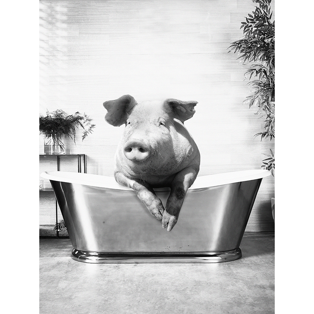 pig-in-bath-funny-bathroom-wall-art-photo-poster-print-the-art