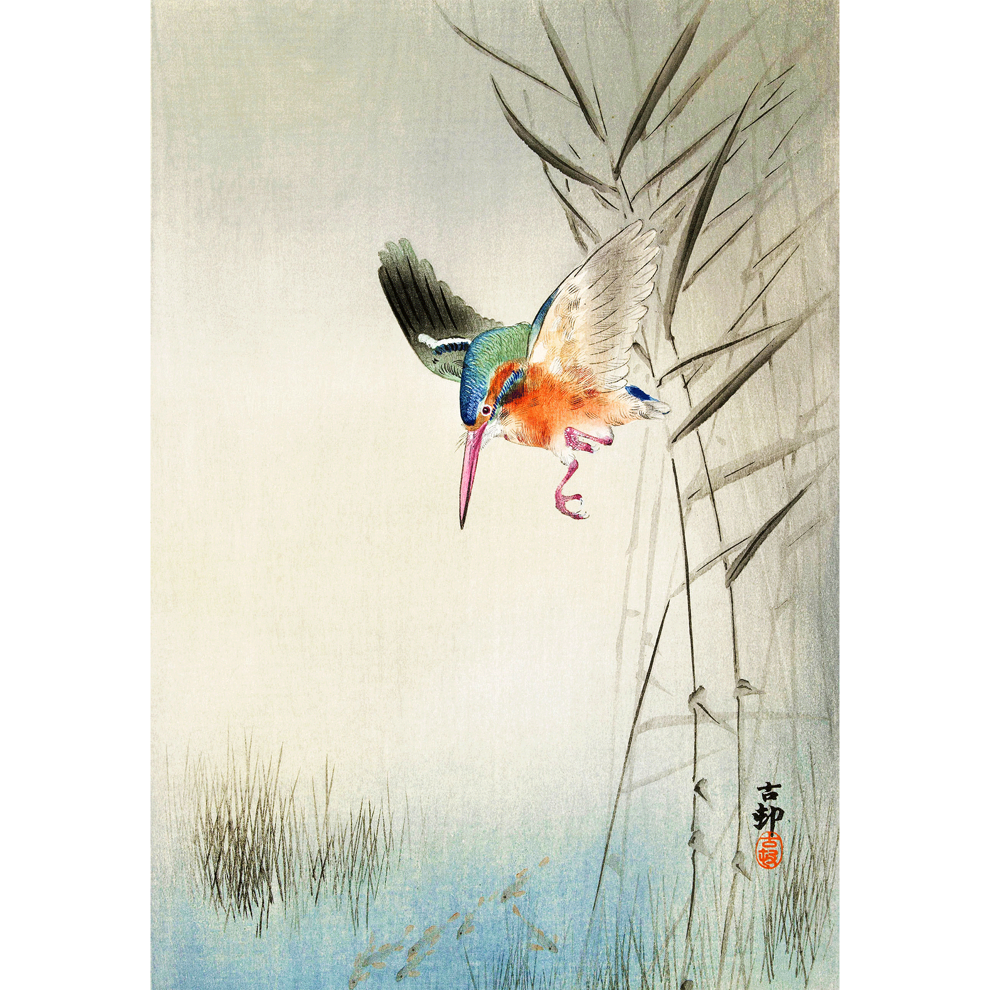 Kingfisher Hunting For Fish by Ohara Koson - Wall Art Wrapped Kingfisher Hunting For Fish by Ohara Koson - Wall Art Wrapped