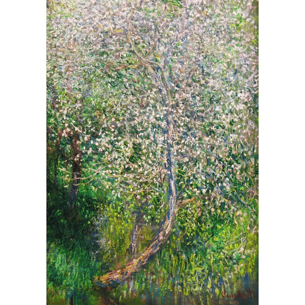 Apple Tree In Flowers At The Waterfront by Claude Monet