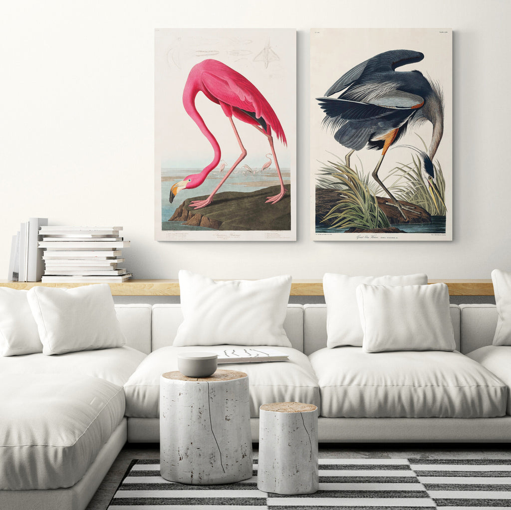 Birds Of America - Pink Flamingo - Great Blue Heron Set of 2 by John James Audubon