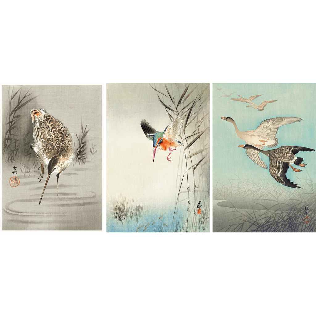Japanese Vintage Bird Art by Ohara Kosan - Set Of 3 Prints
