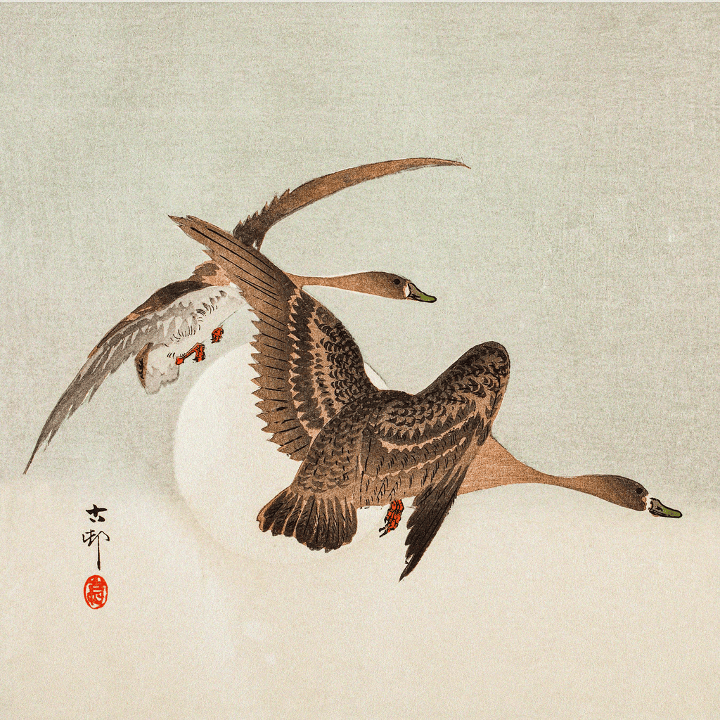 Geese and Full Moon - Vintage Japanese Art by Ohara Koson