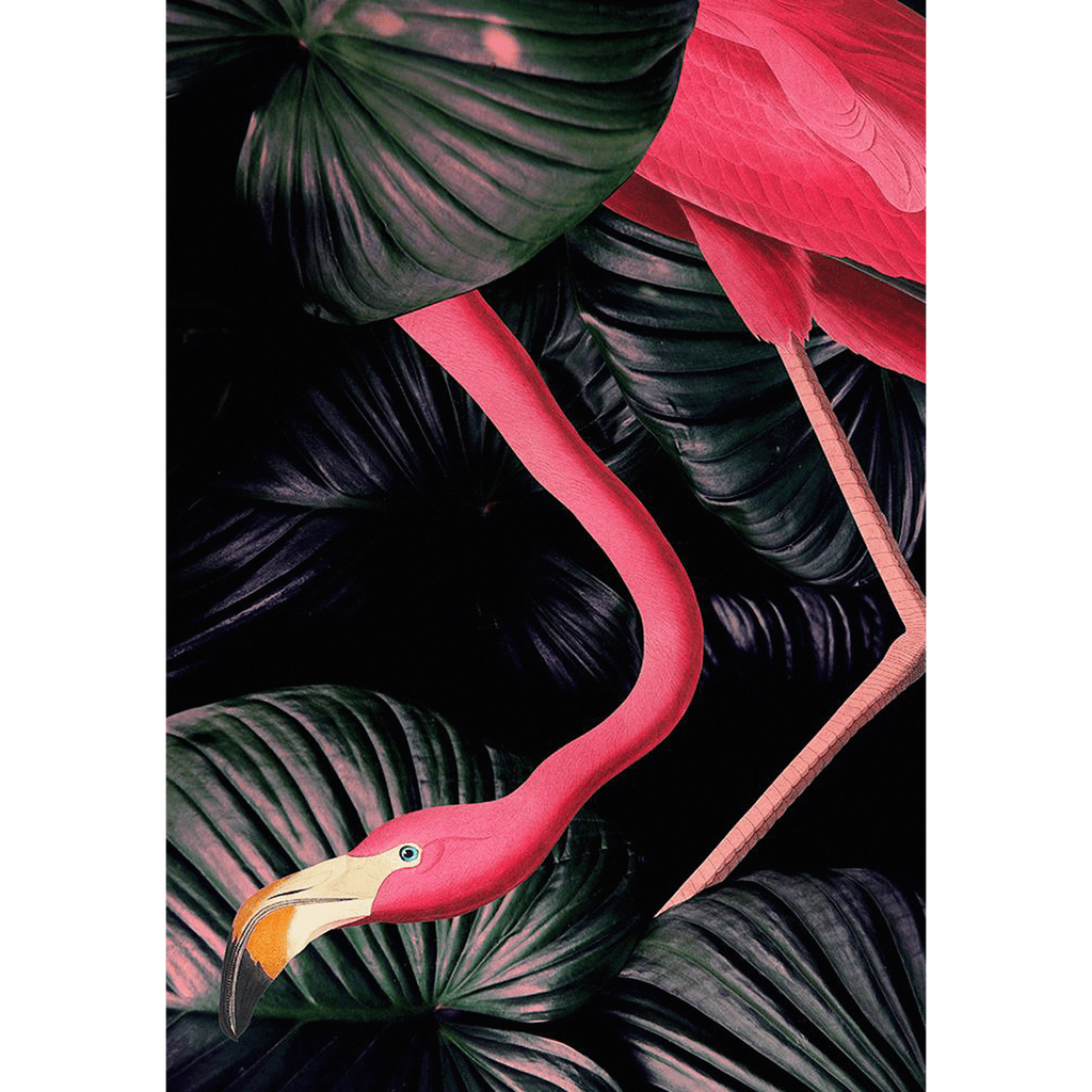 American Pink Flamingo in Jungle Wall Art