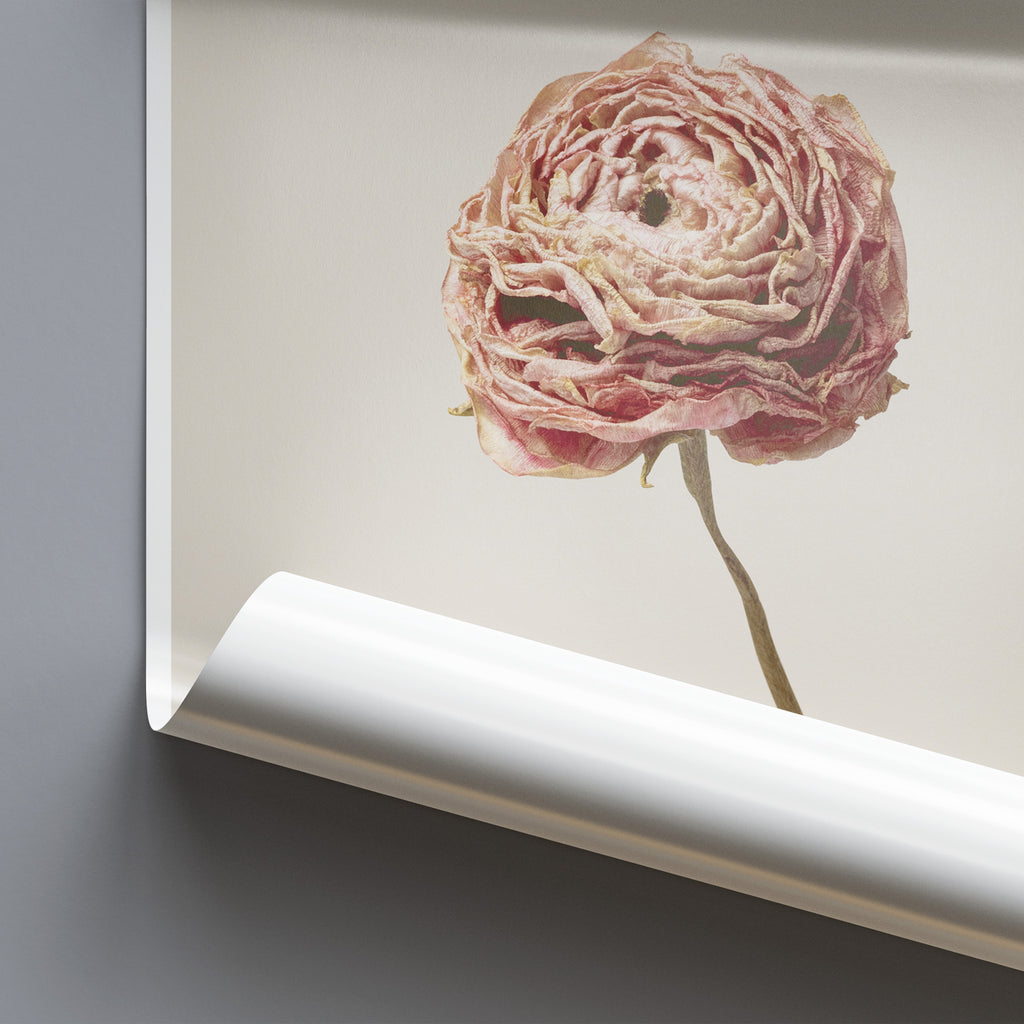 Aesthetic Flower - Minimalistic Wall Art