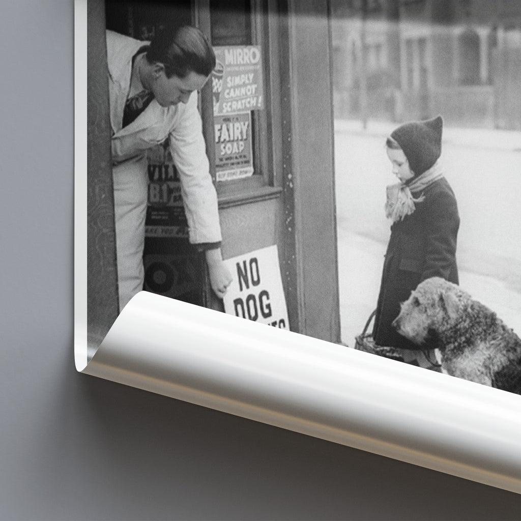 No Dog Biscuits - Vintage Black And White Wall Art
