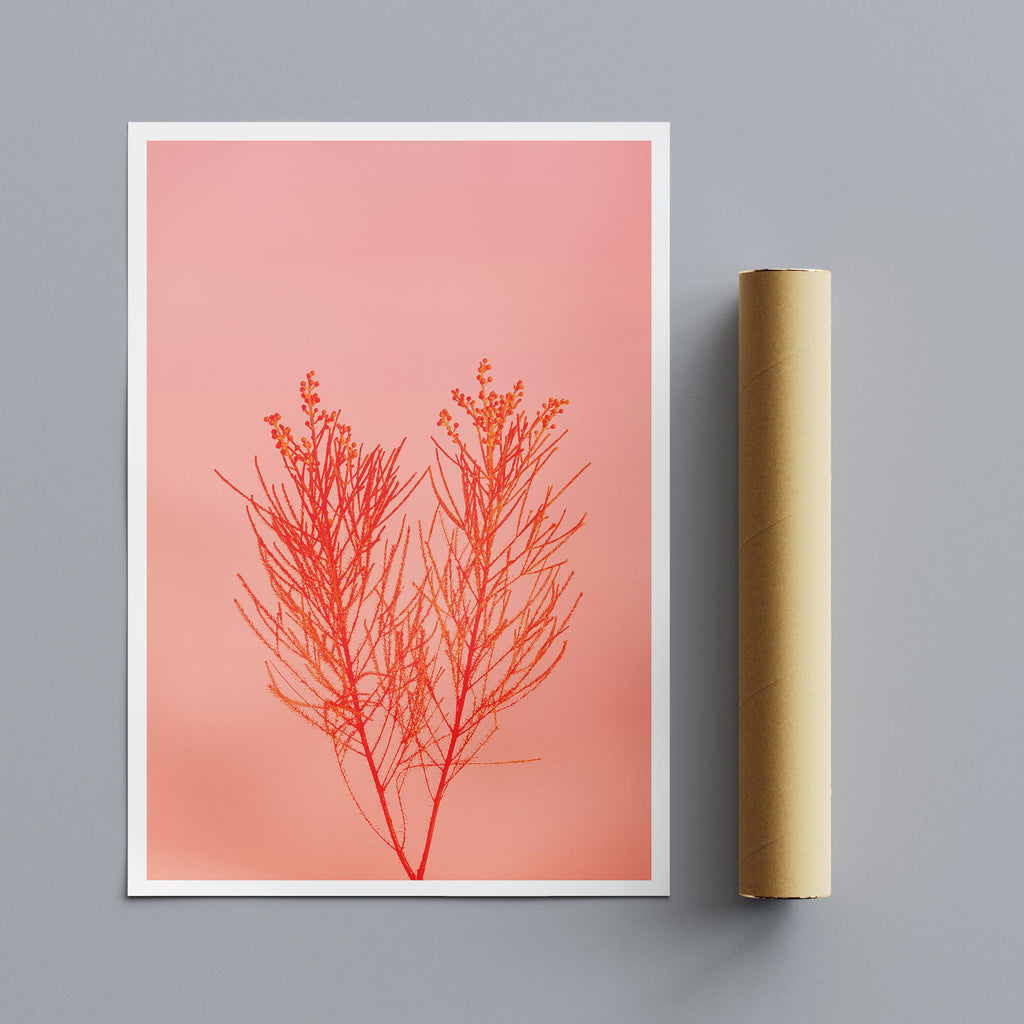 Pastel Flower Minimal Wall Art