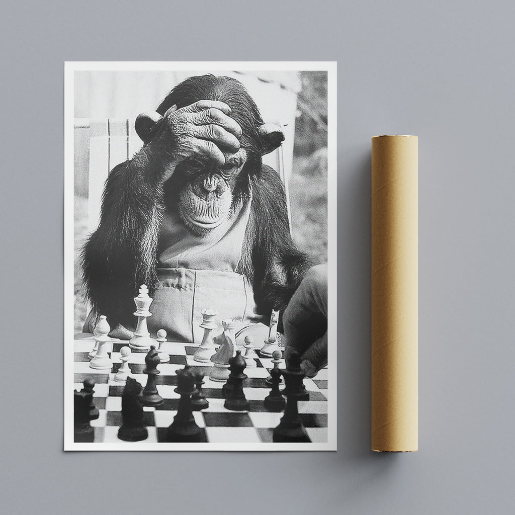 Monkey Playing Chess