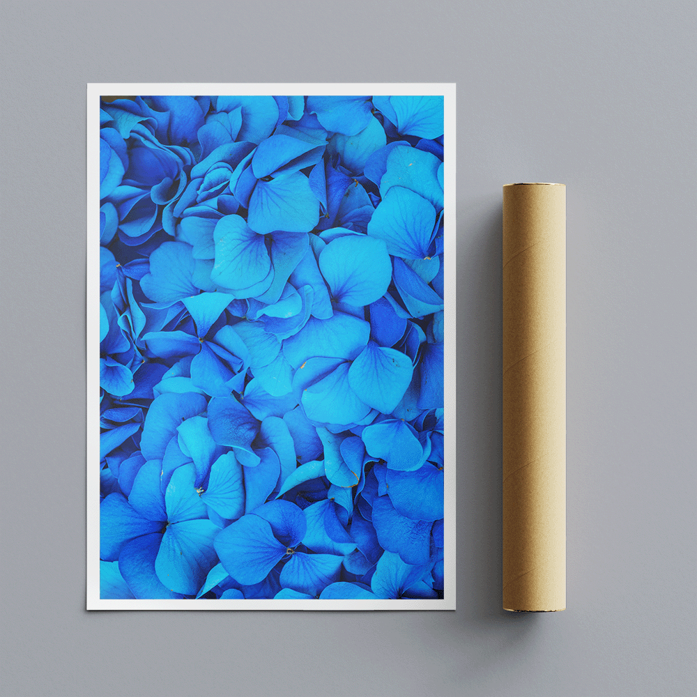 Blue Rose Petals - Flower