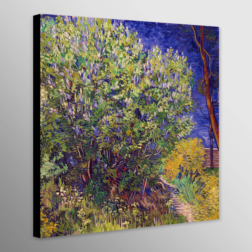 Lilac Bush by Vincent Van Gogh
