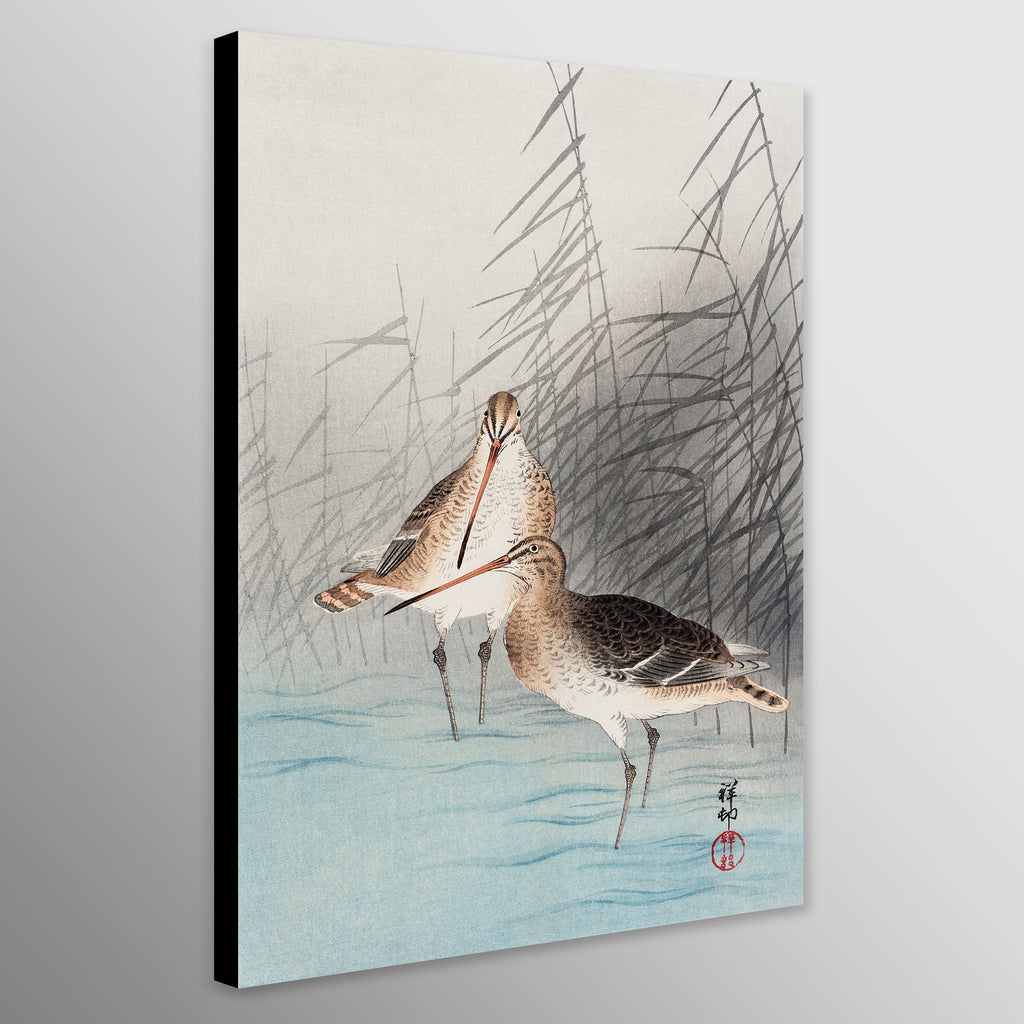 Two Bar-tailed Godwits by Ohara Koson
