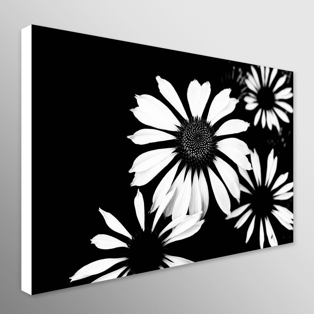 Monochrome Four Flowers 