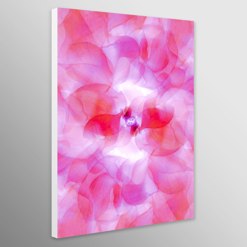 Pink Flower Leaves Abstract Wall Art