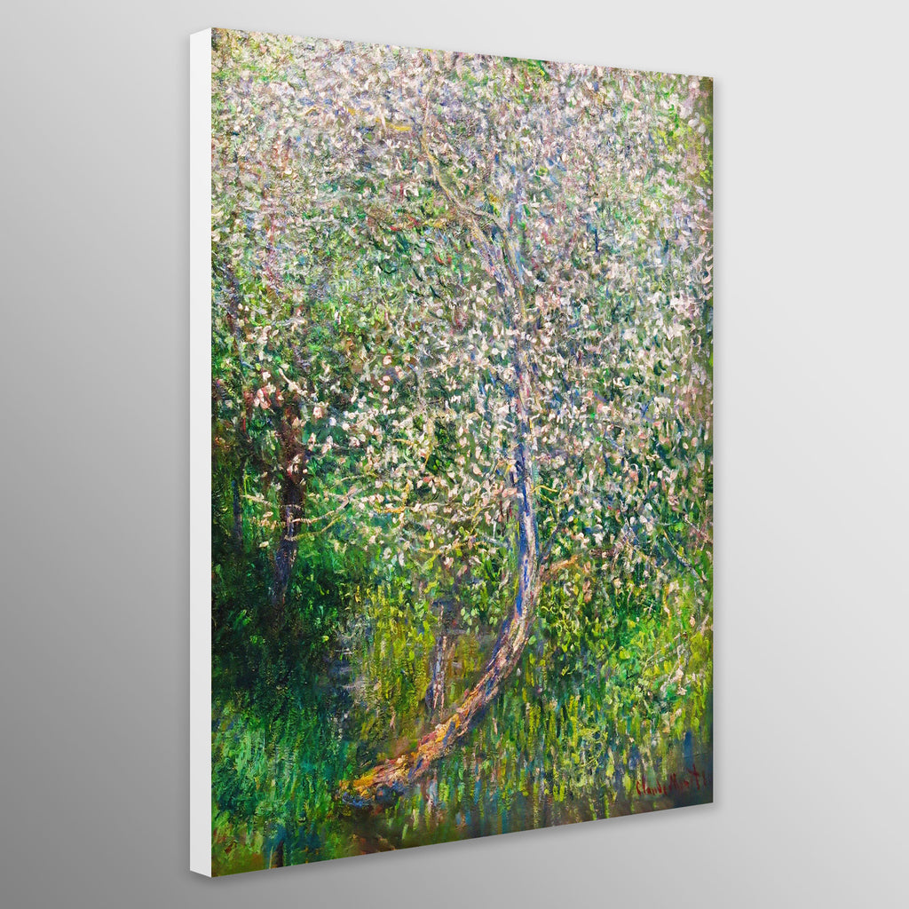 Apple Tree In Flowers At The Waterfront by Claude Monet