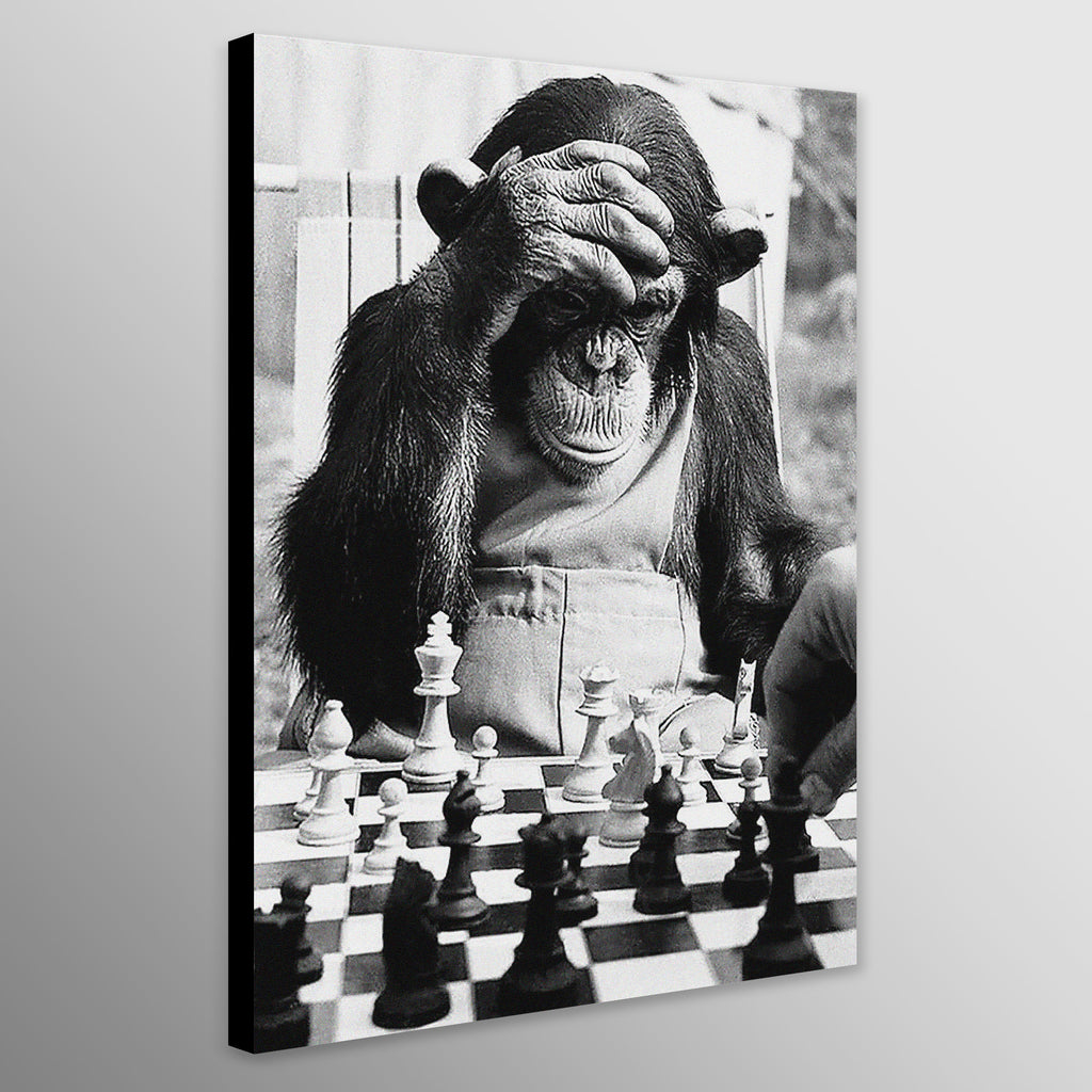 Monkey Playing Chess