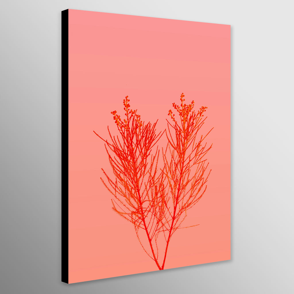 Pastel Flower Minimal Wall Art