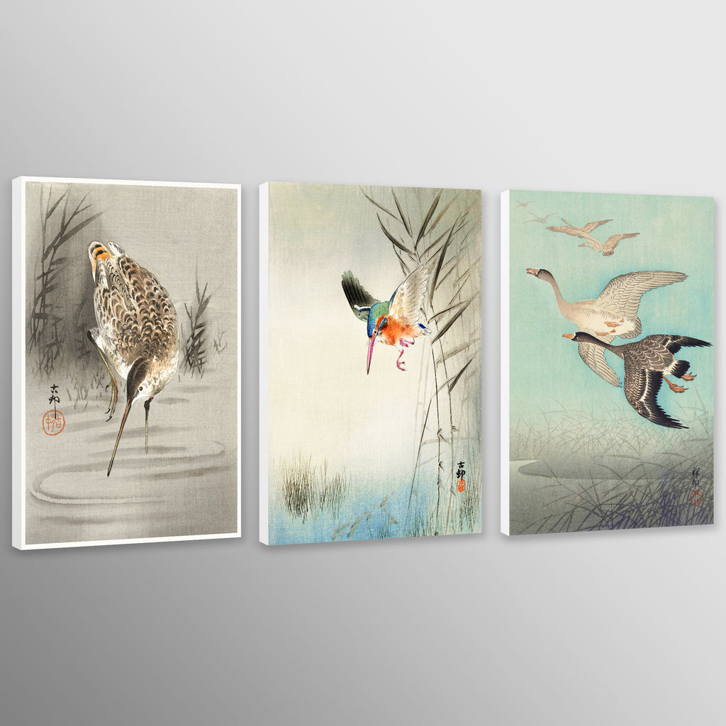 Japanese Vintage Bird Art by Ohara Kosan - Set Of 3 Prints
