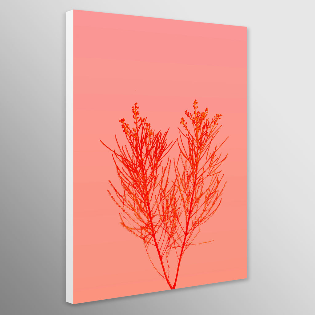 Pastel Flower Minimal Wall Art