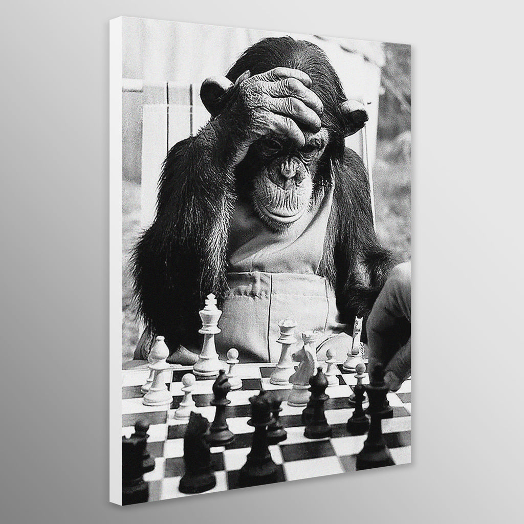 Monkey Playing Chess