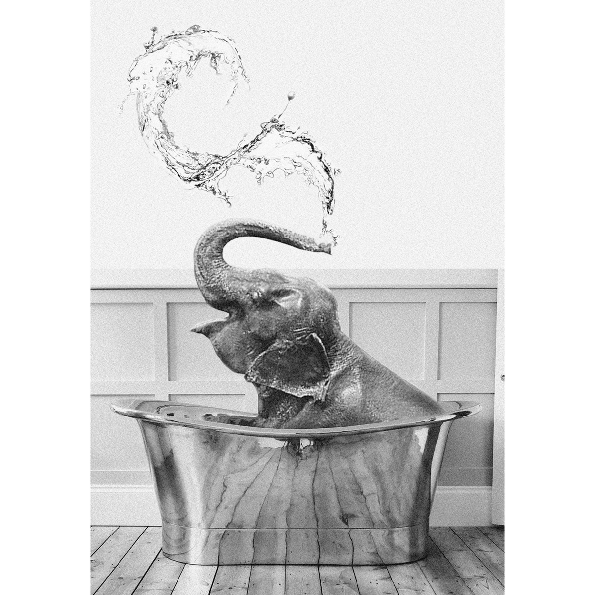 Elephant in Bath Tub - Funny Bathroom Wall Art Photo Poster Print – The ...