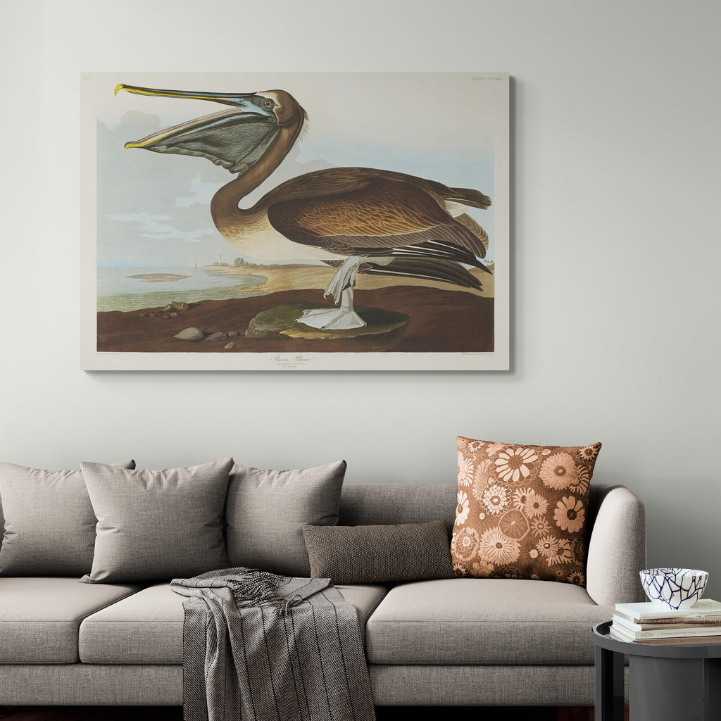 Pelican - Vintage Art by John James Audubon