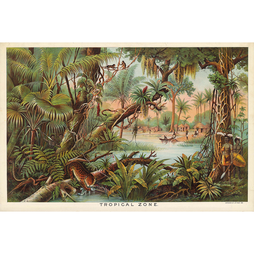 Tropical Zone Vintage Art By Levi Walter