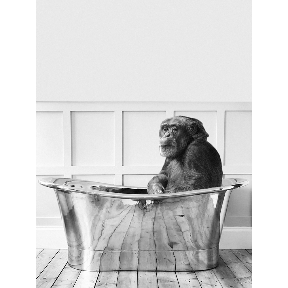 Chimp In Bath - Funny Bathroom Wall Art