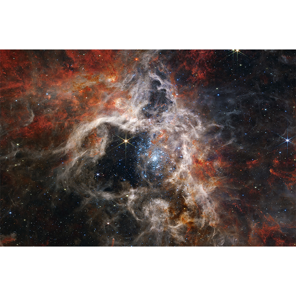 A Cosmic Tarantula by NASA James Webb Telescope