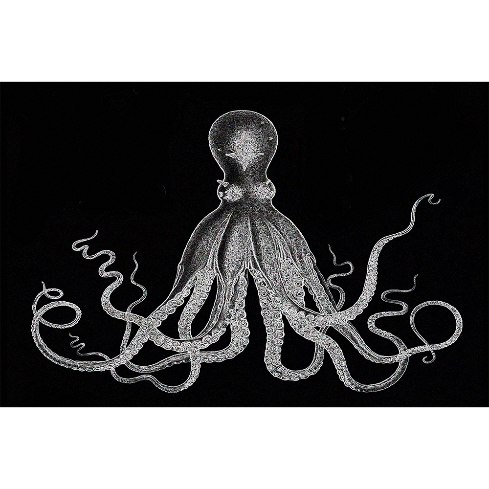 Octopus Vintage Art Black And White - Wall Art Photo Poster Print – The ...