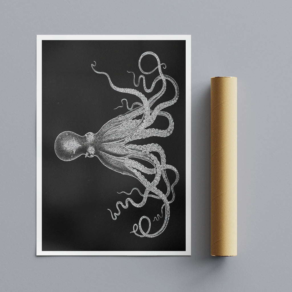Octopus Vintage Art - Black And White