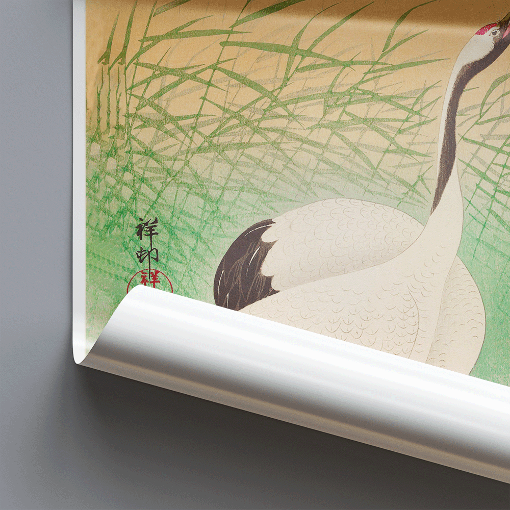 Two Cranes - Japanese Wall Art by Ohara Koson