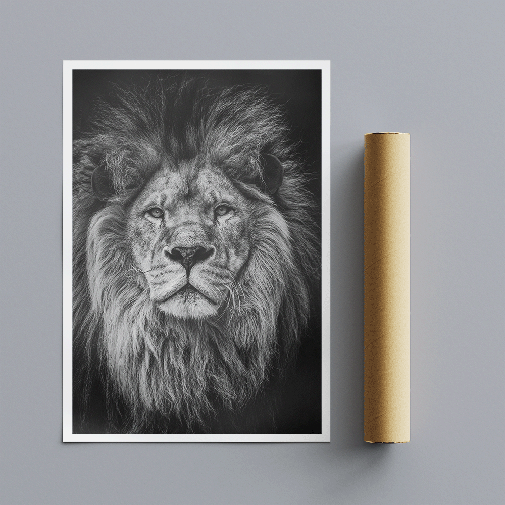 Lions Head - Male - Black and White
