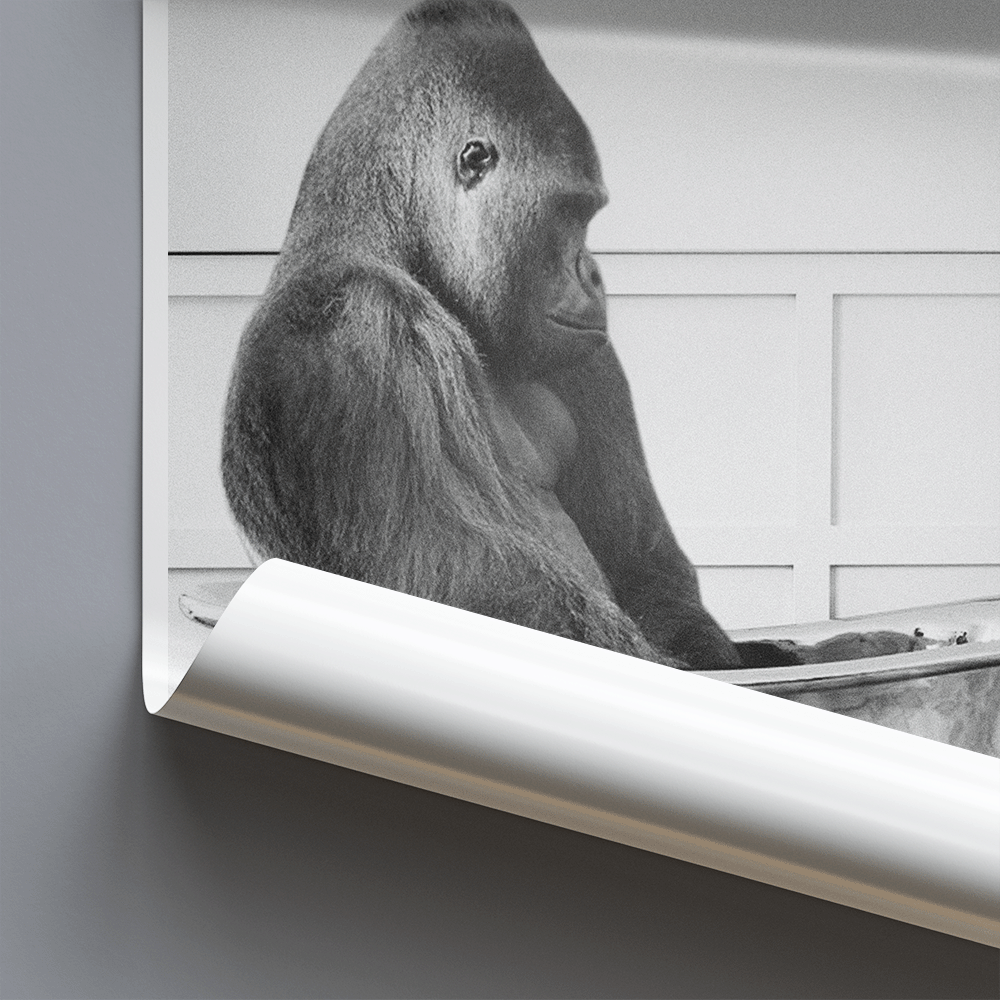 Gorilla In Bath - Funny Bathroom Wall Art