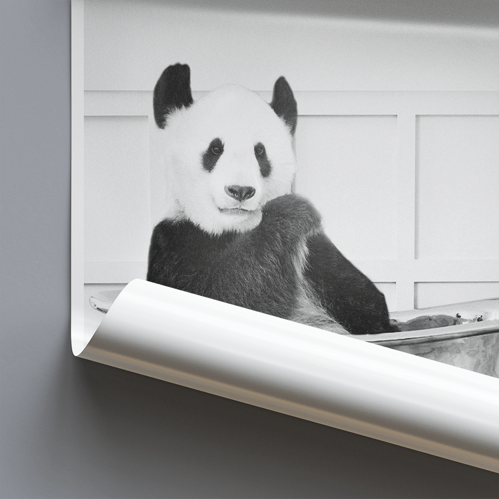 Panda In Bath - Funny Bathroom Wall Art