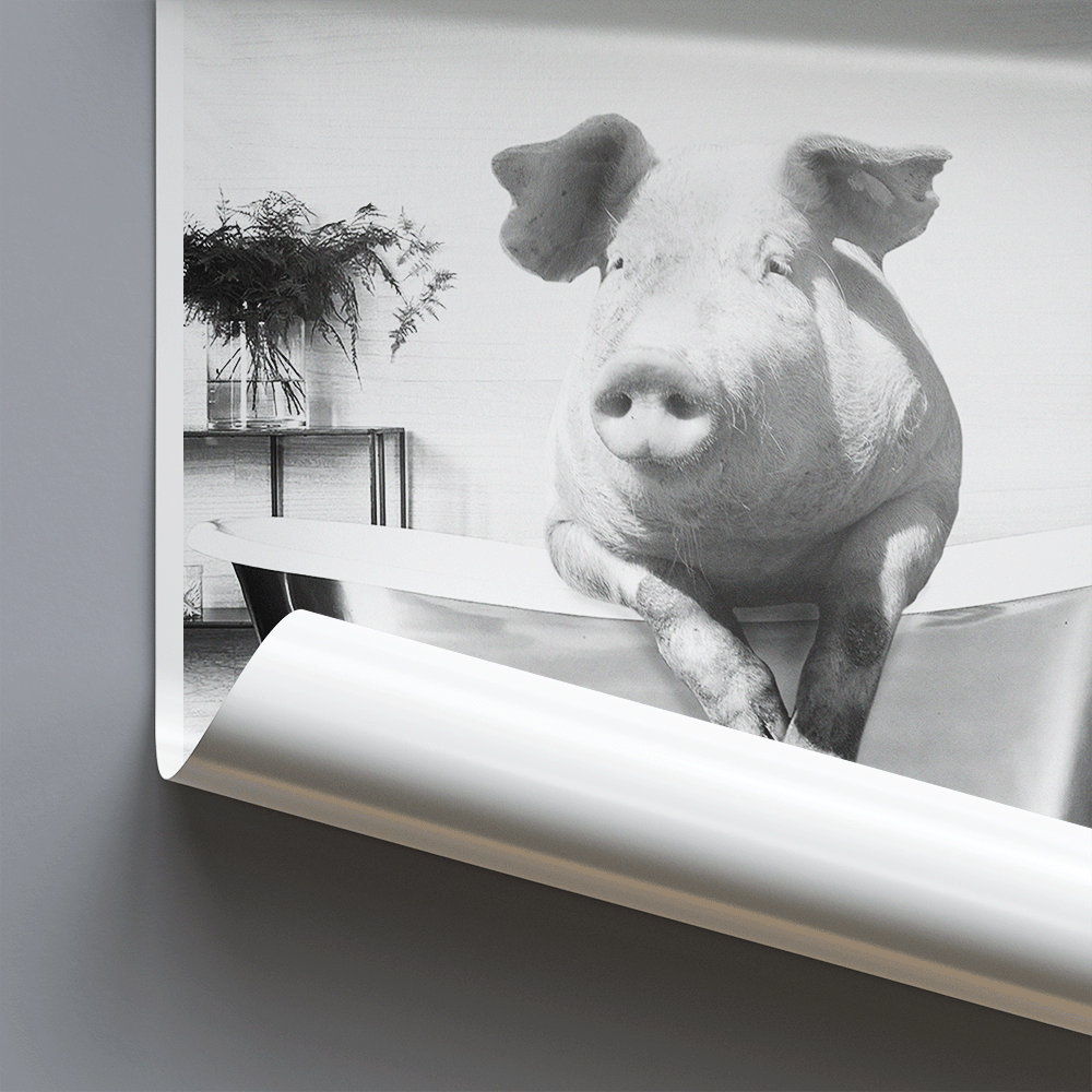 Pig In Bath - Funny Bathroom Wall Art