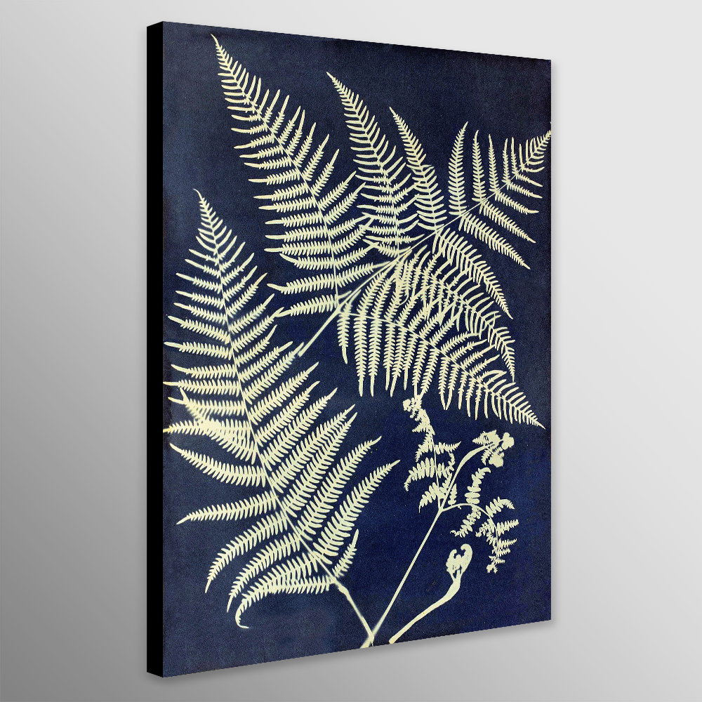 Eagle Fern - Abstract By Anna Atkins