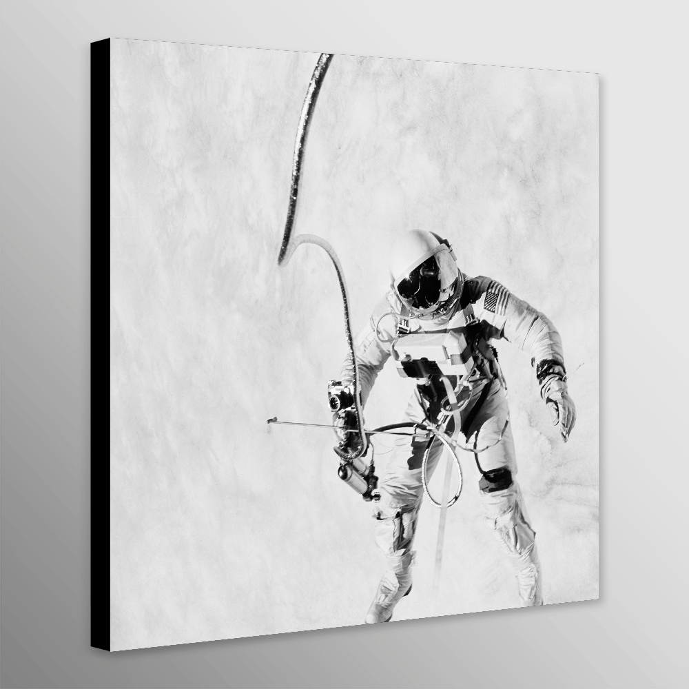 NASA Astronaut - Spaceflight Wall Art Black And White