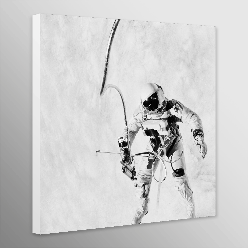 NASA Astronaut - Spaceflight Wall Art Black And White