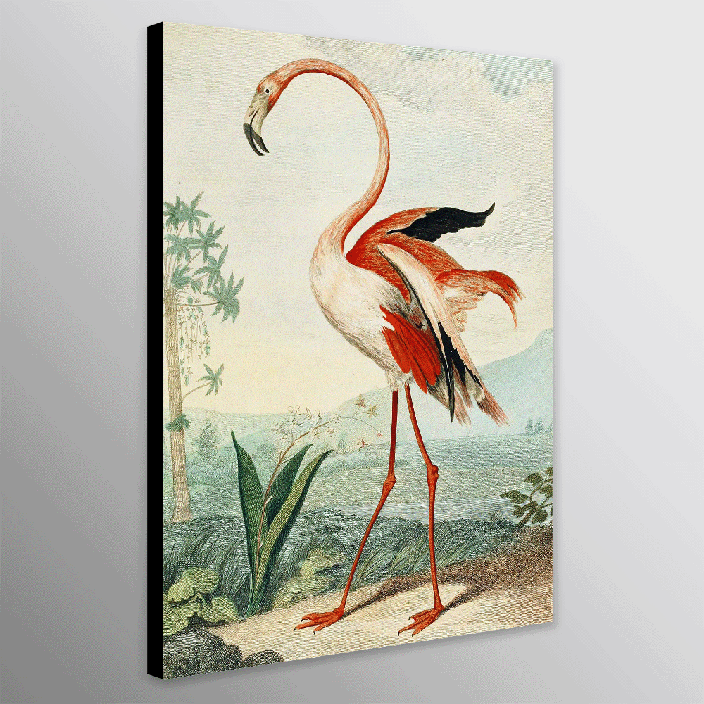 The Flamingo Vintage Art By Charles R Ryley
