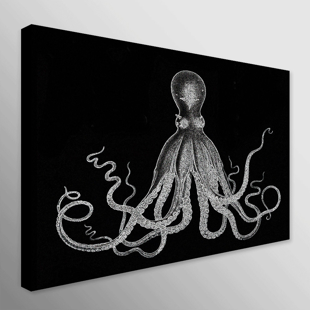 Octopus Vintage Art - Black And White