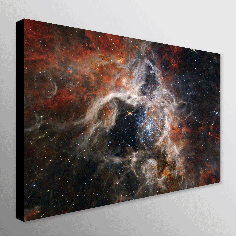 A Cosmic Tarantula by NASA James Webb Telescope