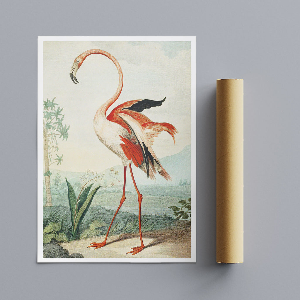 The Flamingo Vintage Art By Charles R Ryley