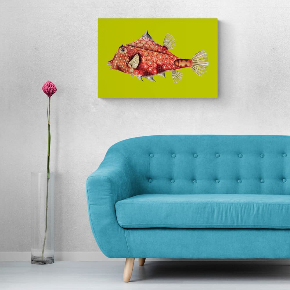 Fish Illustration Vintage By Ernst Haeckel - Abstract - Wall