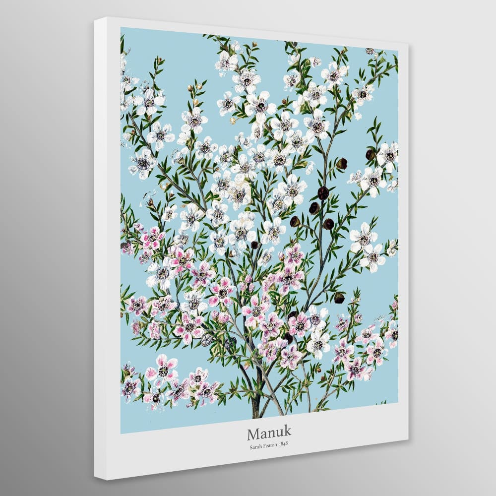 Manuk Flower by Sarah Featon (1848) - Wall Art Wrapped Frame