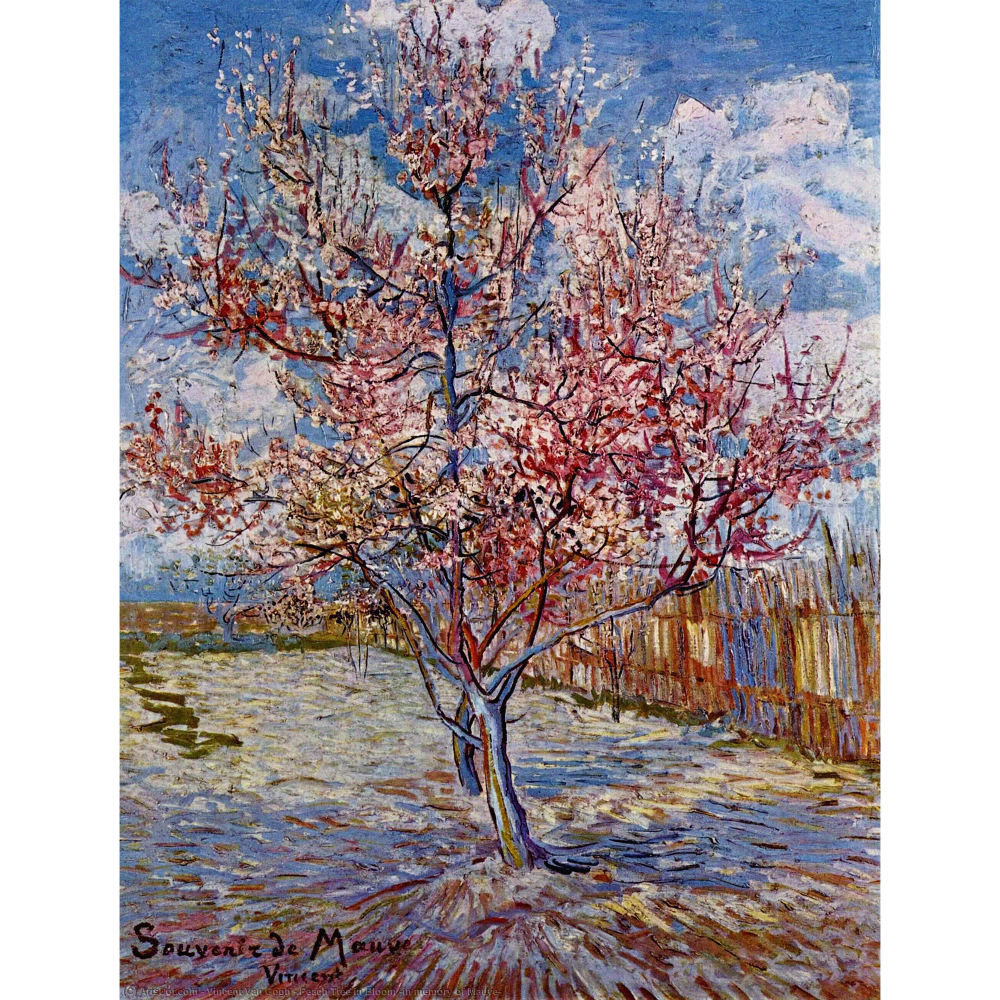 Peach Tree in Bloom by Vincent Van Gogh - Wall Art Photo 